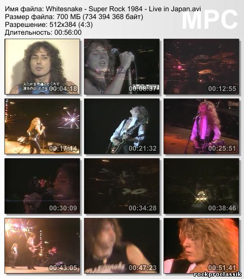 Whitesnake - Super Rock'84 Live in Japan(DVDRip)